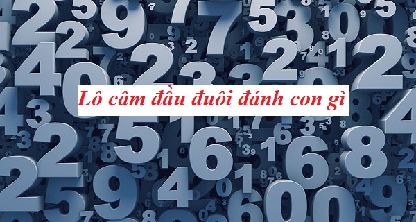 7 Phương Pháp Soi Cầu Lô Đầu Đuôi Hiệu Quả